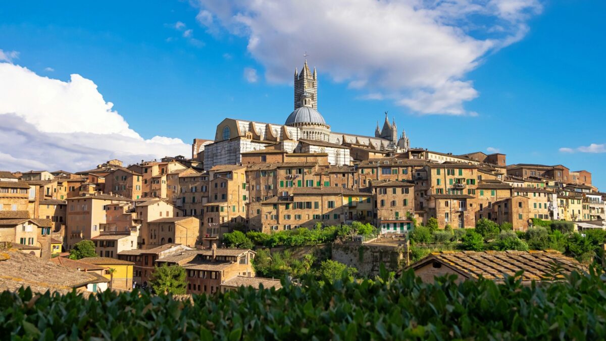 Siena in Focus: TIMBERHAUS launches a new video